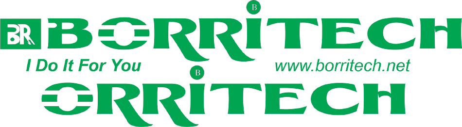 www.borritechvietnam.com